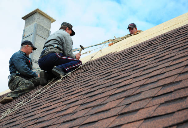 Best Roof Repair Services  in Charlottesville, VA